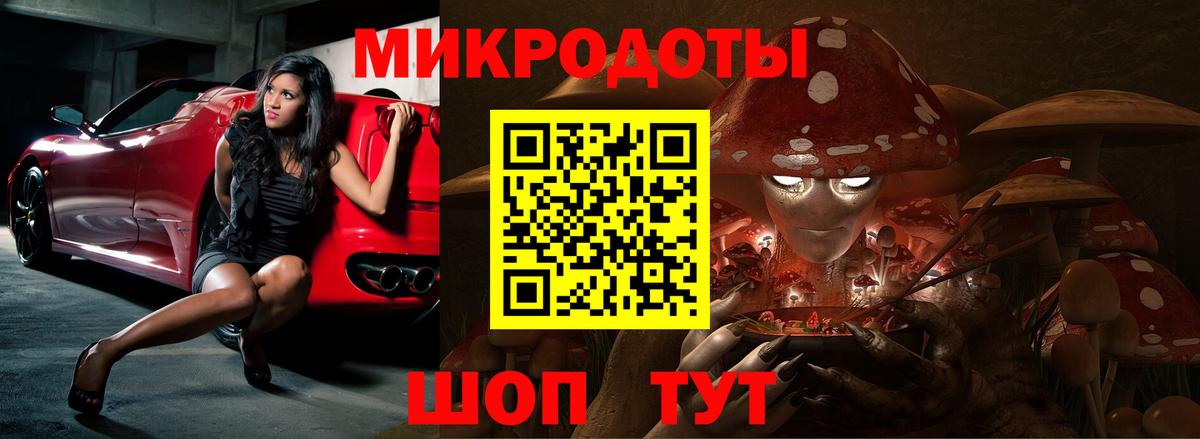 Можайск  Псилоцибиновые грибы прущие грибы  Вход с VPN  Псилоцибиновые грибы Psilocybe 